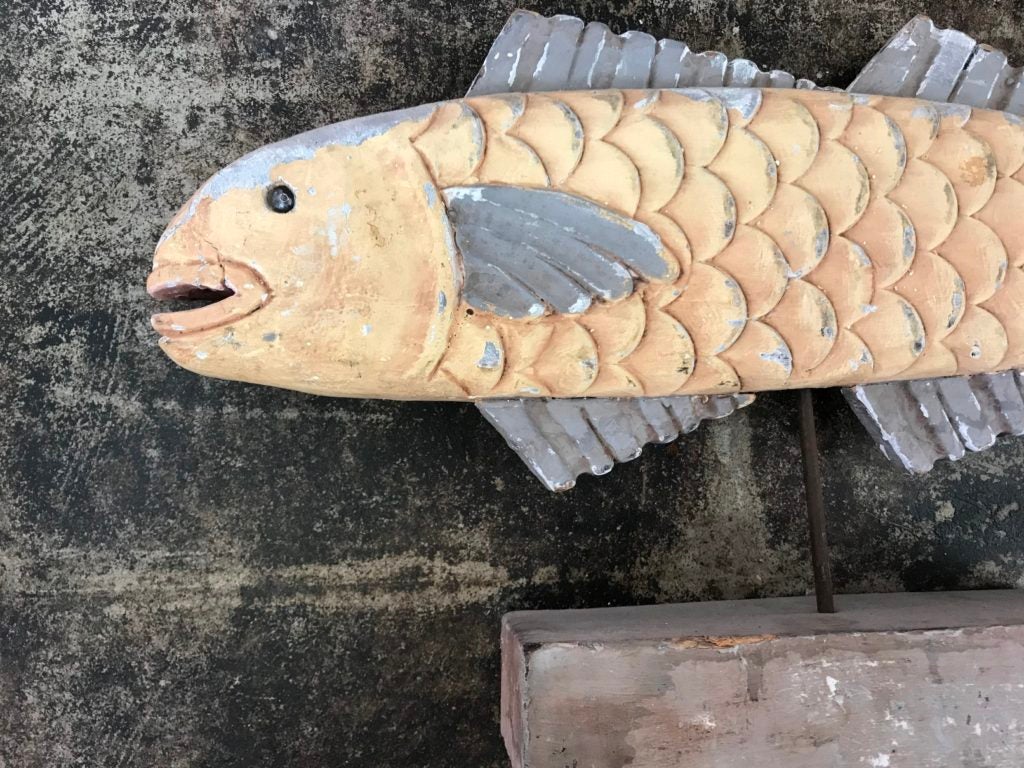 Hooked On Wood: The Allure of the Fish Decoy - Museum for Art in Wood